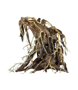 Sf bonsai root medium