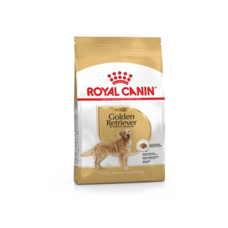 Rc golden retriever adult 3kg