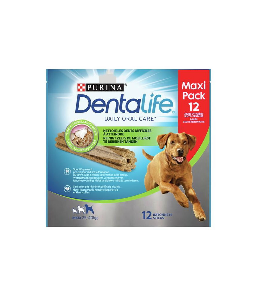 Dentalife lg loyalty