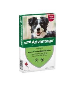 Advantage hond 250 4 pip