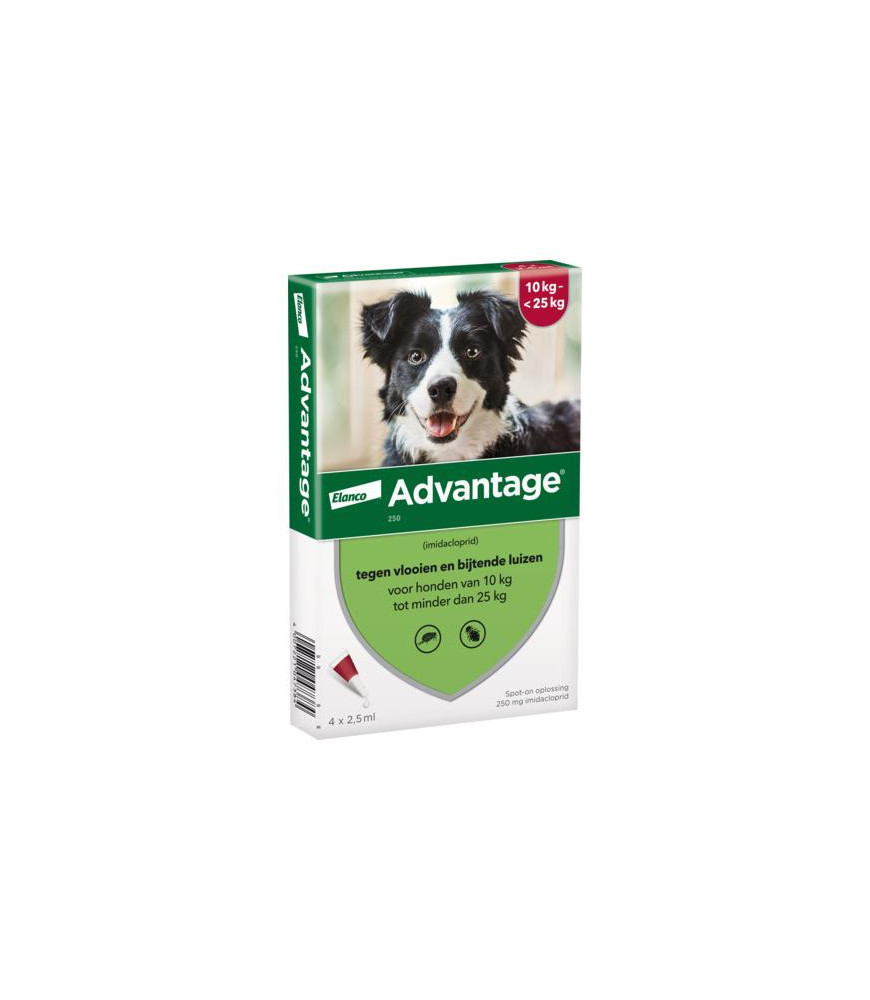 Advantage hond 250 4 pip