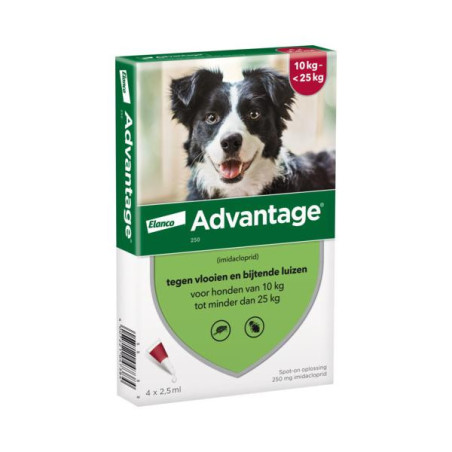 Advantage hond 250 4 pip