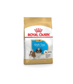 Rc shih tzu puppy 1.5kg