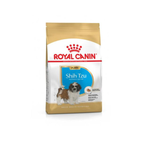 Rc shih tzu puppy 1.5kg