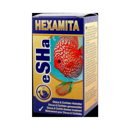 Hexamita 1 stuk