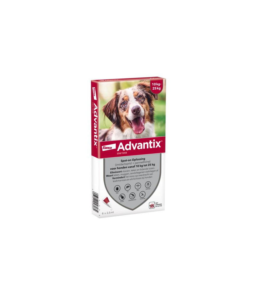 Bayer advantix 250 6 pip