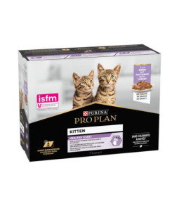 Proplan kat mp kitten