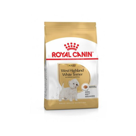 Rc westie adult 1.5kg