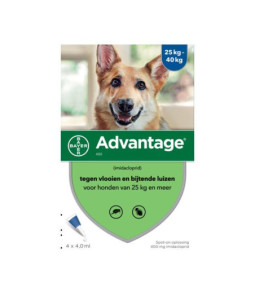 Advantage hond 400