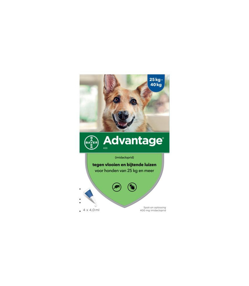 Advantage hond 400