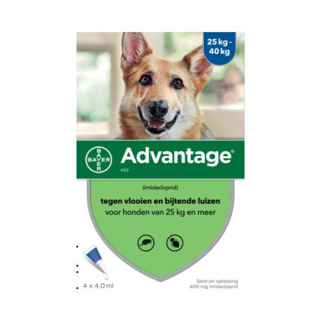 Advantage hond 400