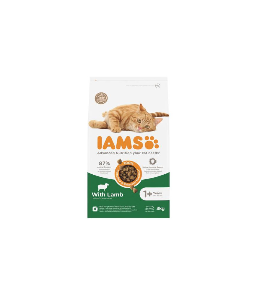 Iams kat adult lam 3kg