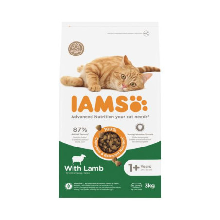 Iams kat adult lam 3kg