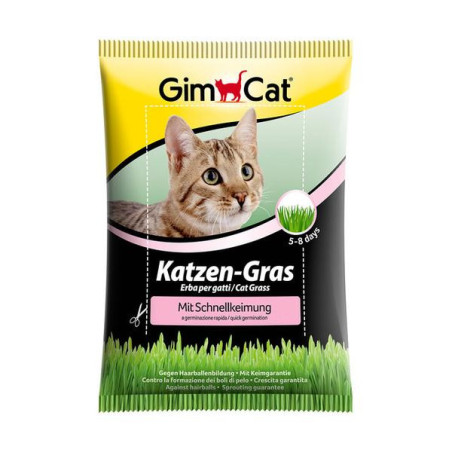 Gimpet gras snel kiem 100gr