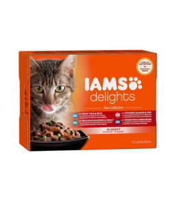 Iams mp kat sea collection