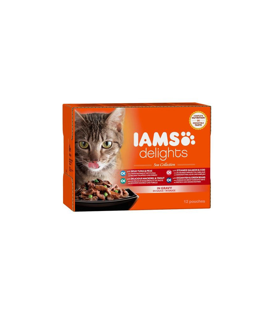 Iams mp kat sea collection