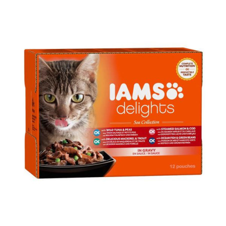 Iams mp kat sea collection