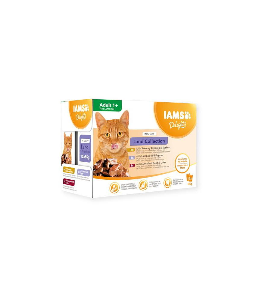 Iams mp kat land collection