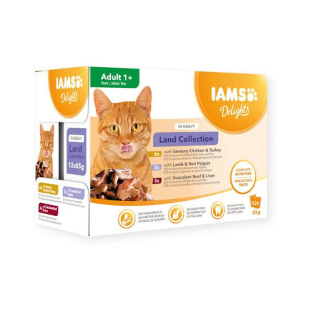 Iams mp kat land collection