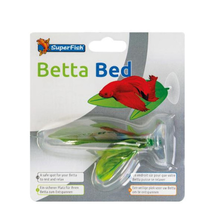 Sf betta bed