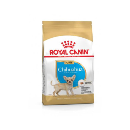 Rc chihuahua puppy 500gr