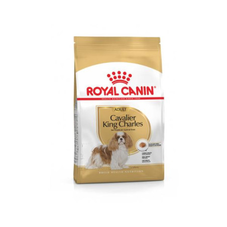 Cavalier king charles adult 1.5 kg