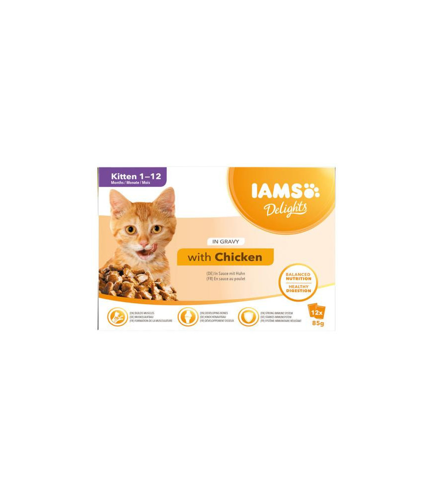 Iams mp kitten saus 12x85gr