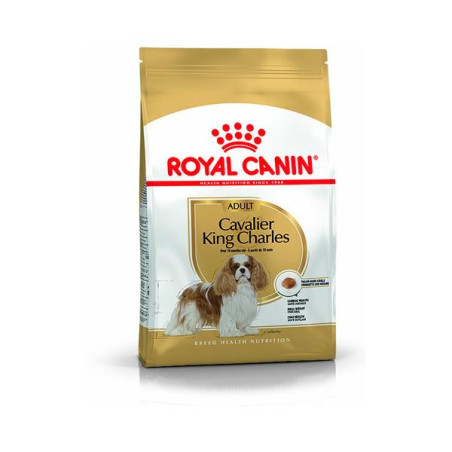 Rc cavalier king charles 3kg