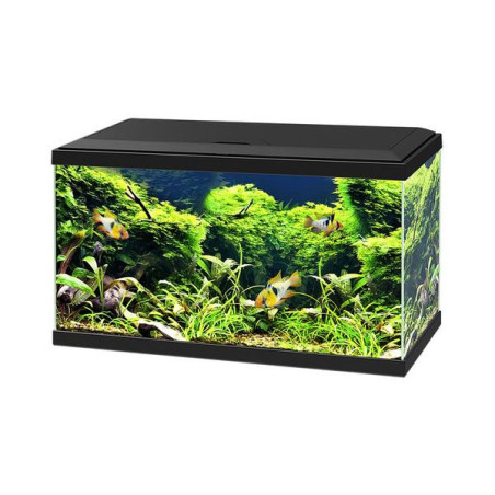 Ciano aquarium 60 led cf80 zwart