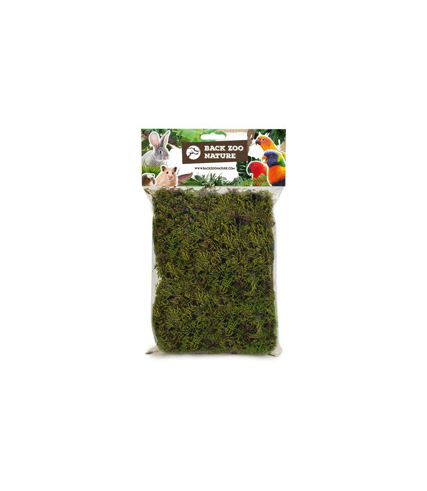 Back zoo nature forest moss 70 gram