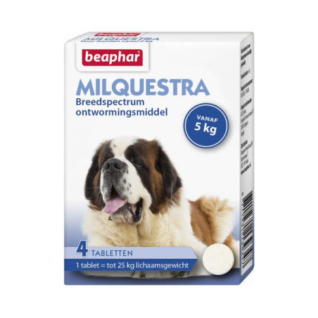 Milquestra hond 5-75 kg 4 tabl