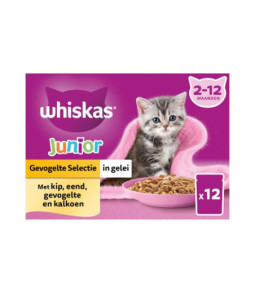 Whiskas mp junior classic gelei