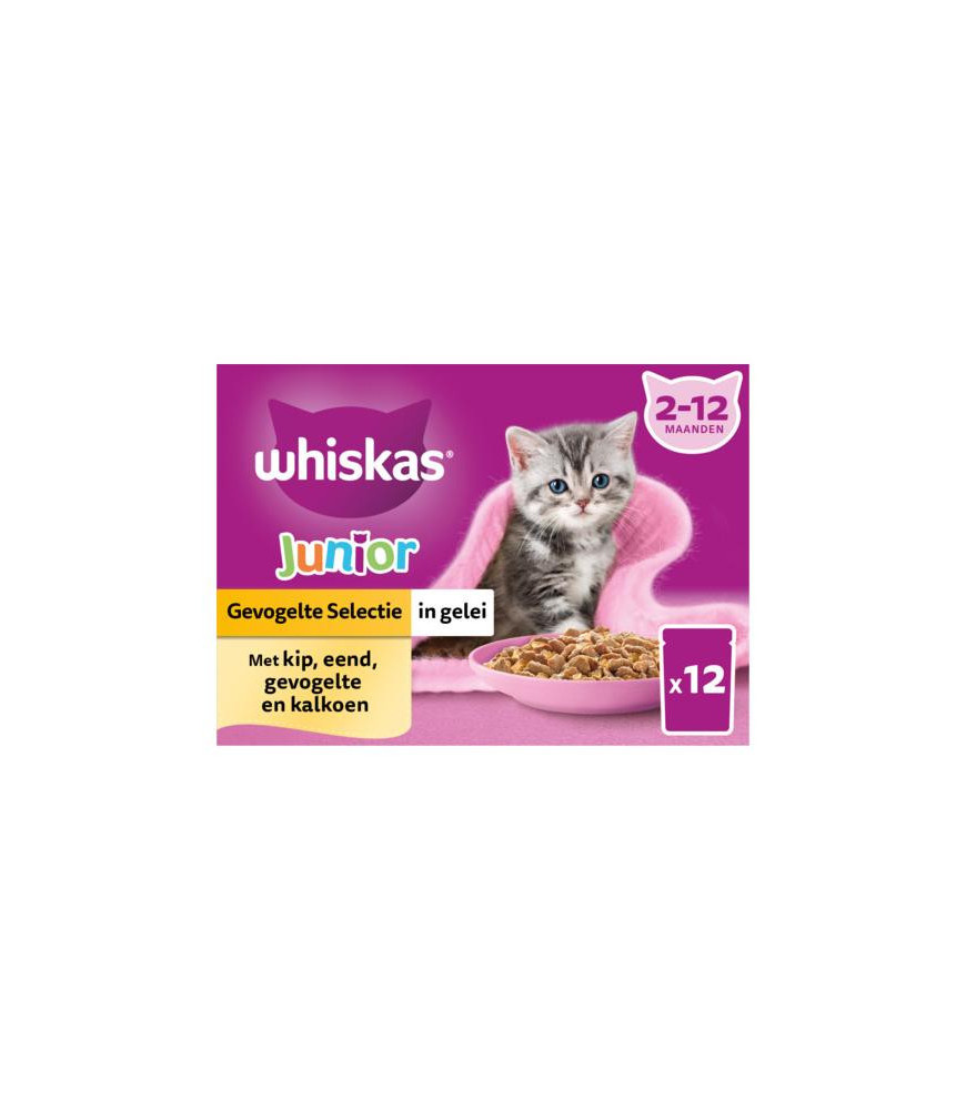 Whiskas mp junior classic gelei