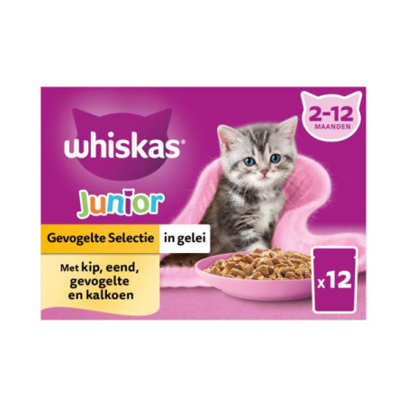 Whiskas mp junior classic gelei