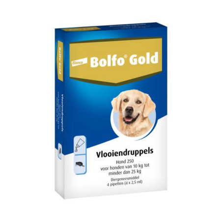 Bolfo gold hond 250 4 pp