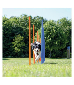 Fun agility slalom blw/oranje 115cm