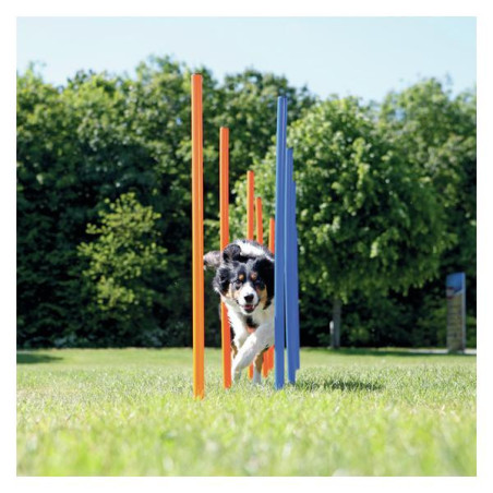 Fun agility slalom blw/oranje 115cm