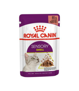 Rc nat kat sensory smell gravy