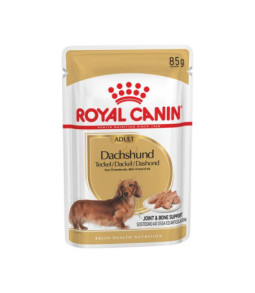 Rc nat hond dachshund doos