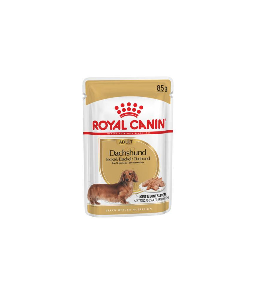 Rc nat hond dachshund doos