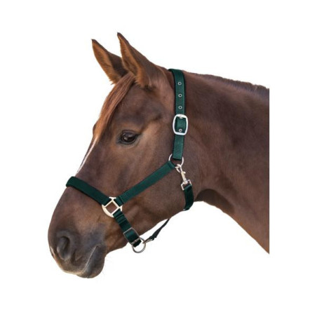 Waldhausen halster satin pony groen