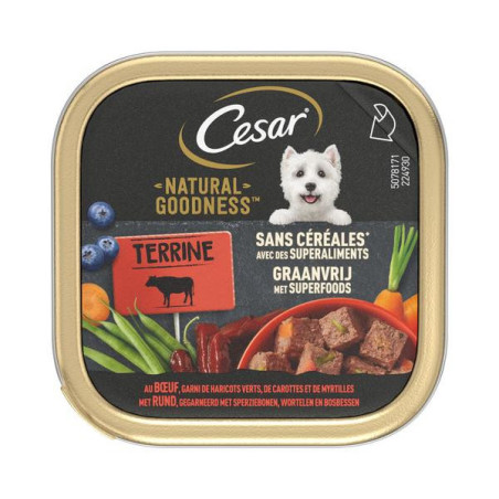 Cesar goodness grain free rund