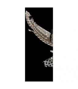 K.splg libelle karton+veren 17cm