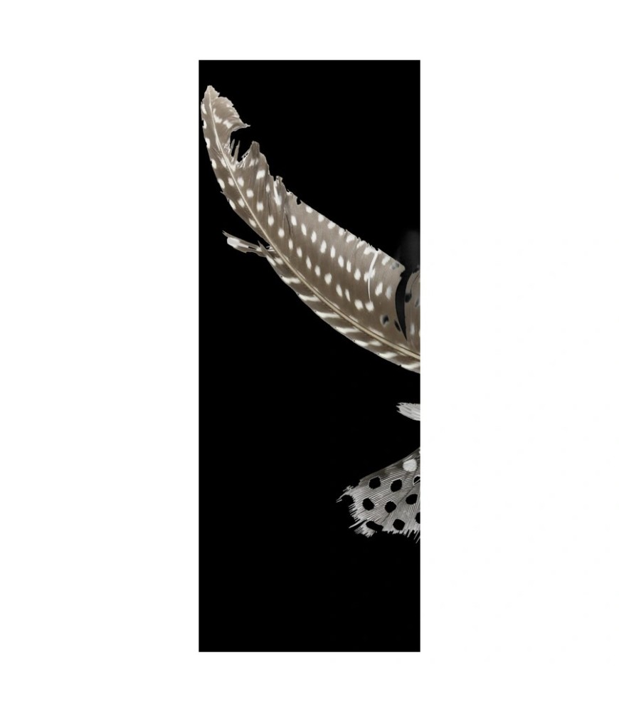 K.splg libelle karton+veren 17cm