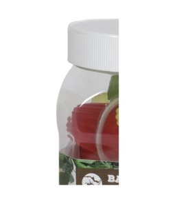 Vogelsnack fruitcup mix pot a 24st