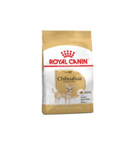 Rc chihuahua adult 3kg