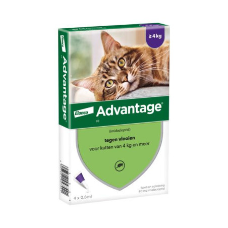 Advantage kat 80 4 pipt